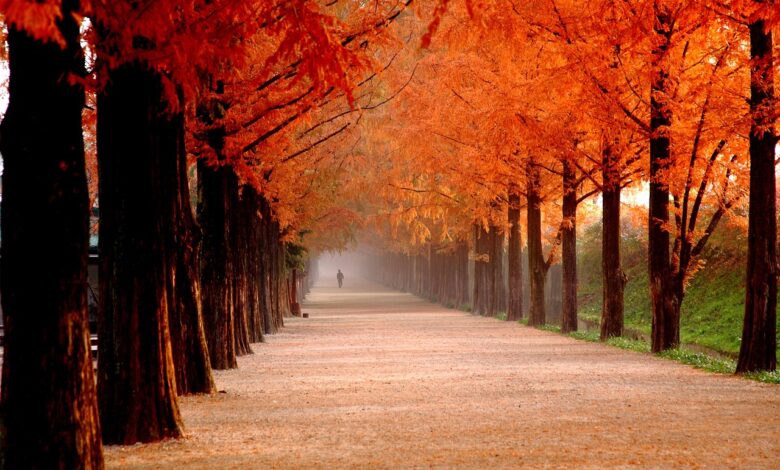 Proven Ways to Keep Your Heart Healthy After 30